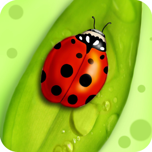 Lady Bug Wallpaper logo