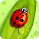 Lady Bug Wallpaper - Androidアプリ