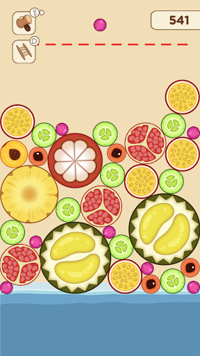 Fruit Merge  Drop the Number