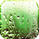 Rain Appling Live Wallpaper Download on Windows