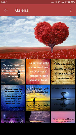 Frases bonitas de amistad