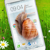 Snail in Phone best joke icon