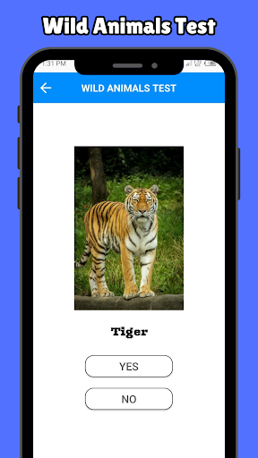 Animals Quiz Game Trivia Game