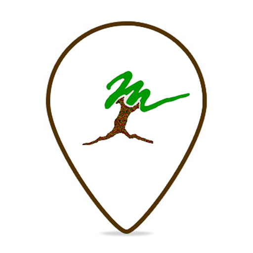 Key to Trees of Southern Afric 1.2.0 Icon