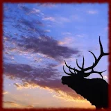 Elk wallpapers icon