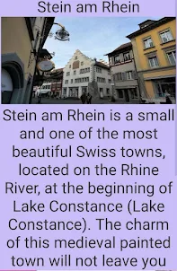 Swiss Town