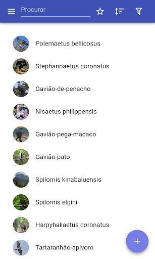 Visualização do aplicativo