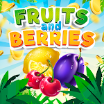 Cover Image of डाउनलोड Fruits and Berries 0.0.1 APK