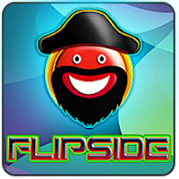 Flipside