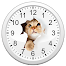 Cats Analog-Clocks Widget