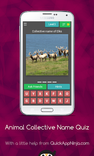 Animal Collective Name Quiz