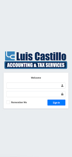 Castillo Accounting Screen 2