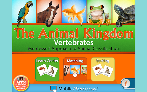 Classification des animaux Montessori