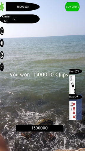 QBlackJack Screen 3
