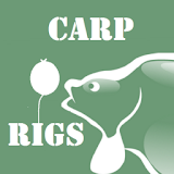 Carp Rigs - Carp Fishing Rigs icon