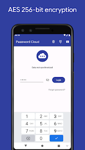 Password Cloud: Data safe Unknown
