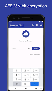 Password Cloud: Data safe
