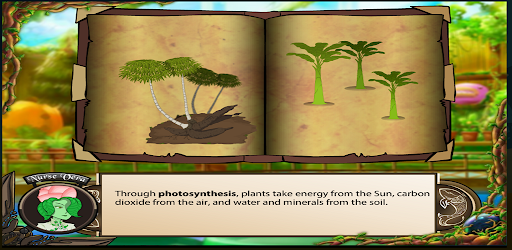 Roots Screen 2