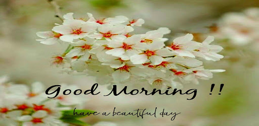 Android application Good Morning GIF Greeting screenshort