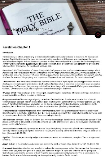 Revelation Study - Bible Guide 19