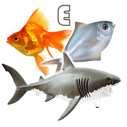 Fish Types | Goldfish Saltwate  Icon