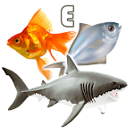 Cover Image of Tải xuống Fish Types | Goldfish Saltwate  APK
