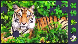 Game screenshot Relax Jigsaw Puzzle for Adults hack