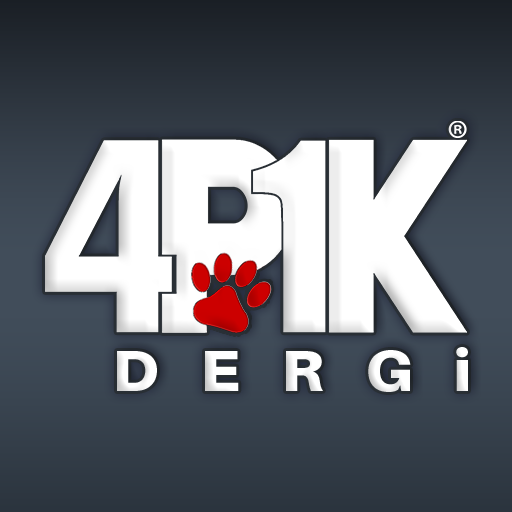 4P1K Dergi logo