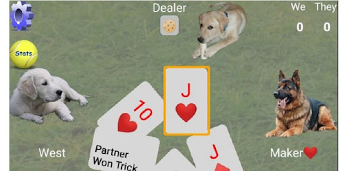 K9 Euchre