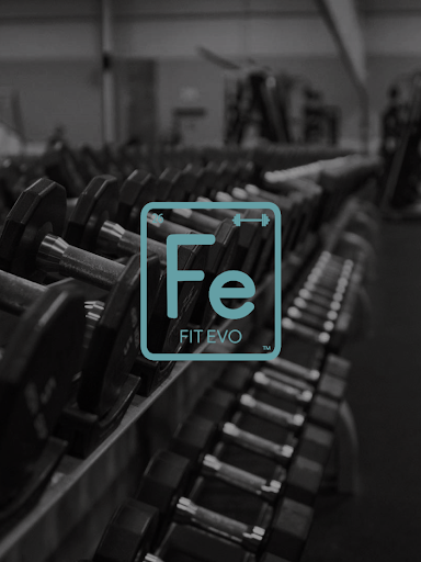 Screenshot of Fit Evo Online