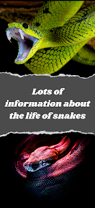 Snake Life and Facts