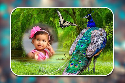Android application Peacock Photo Frames screenshort