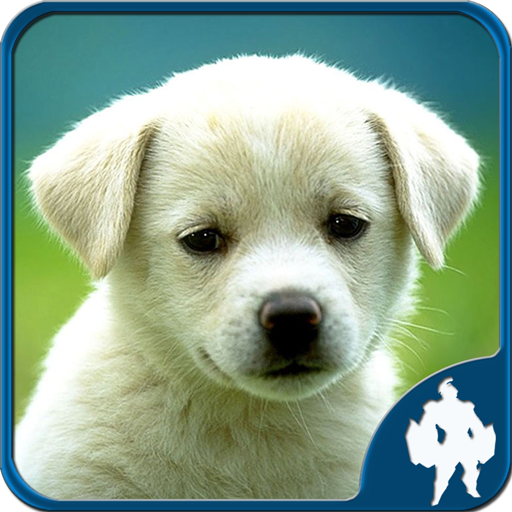 Animal Jigsaw Puzzles - Apps on Google Play