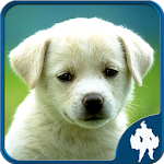 Cover Image of 下载 Animal Jigsaw Puzzles  APK