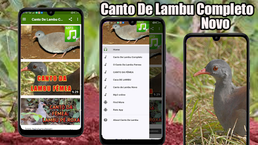 Android application Canto De Lambu Completo screenshort