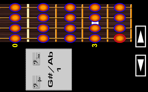 Learn to play Bass Guitar PRO