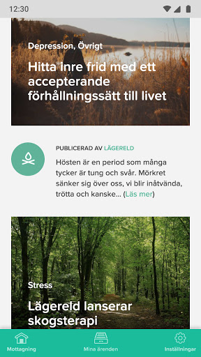 Lägereld Screen 3