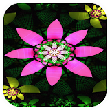 3D Flowers Live Wallpaper icon