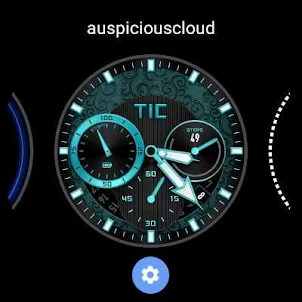 TicWatch auspiciouscloud