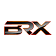 BRX Performance Auf Windows herunterladen