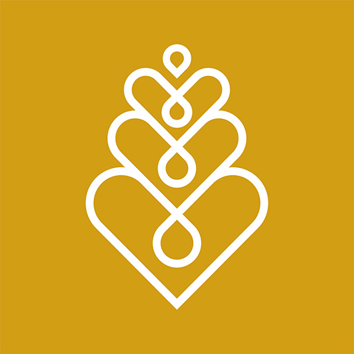 myLoulis - LFI S.A logo