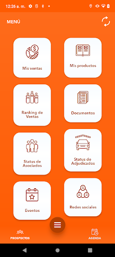 Polen Asesor Screen 3