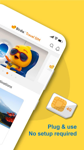 Birdie Travel Screen 2