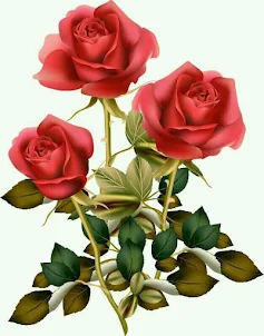 Flower Rose Animated Image Gif