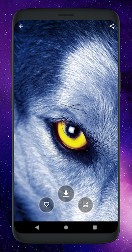 Cool Wolf Wallpapers HD Screen 3