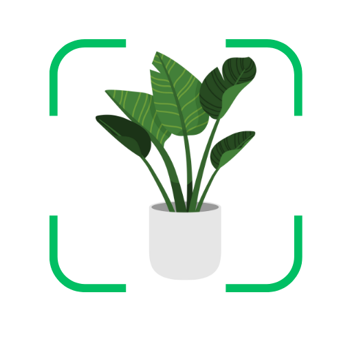 Plant Identifier - Petals