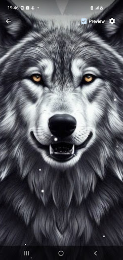 Android application Black Wolf Live Wallpaper screenshort