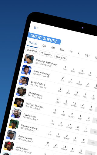 Fantasy Football Cheat Sheets 13