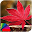 Theme - Autumn Download on Windows