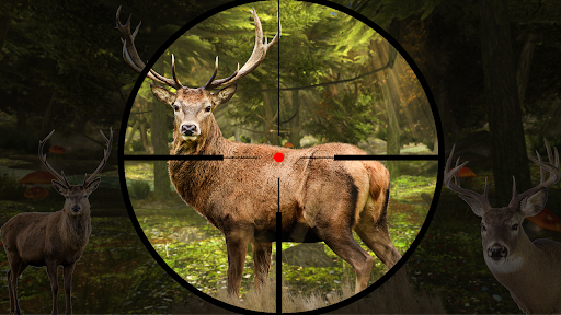 Animal Sniper Hunt Screen 3
